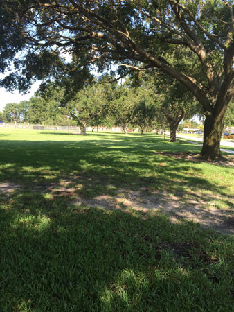 Leaving money on park benches and in bus stops is easy to do on a walk.